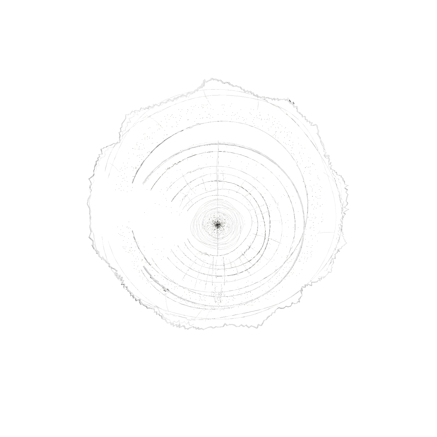 Growth rings, accumulated knowledge over time